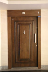 ZB-(1037)